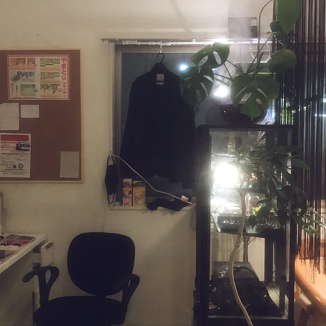 実例写真