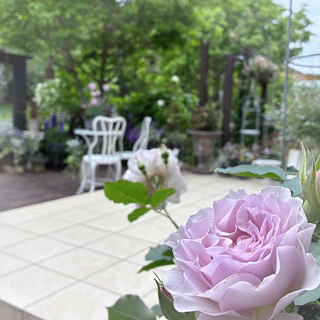 soraさんの実例写真