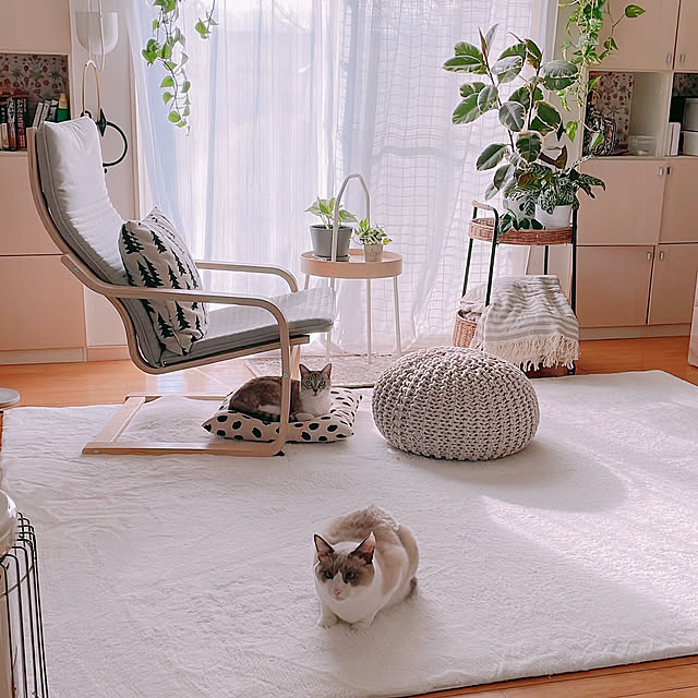 milkcocoaさんの実例写真