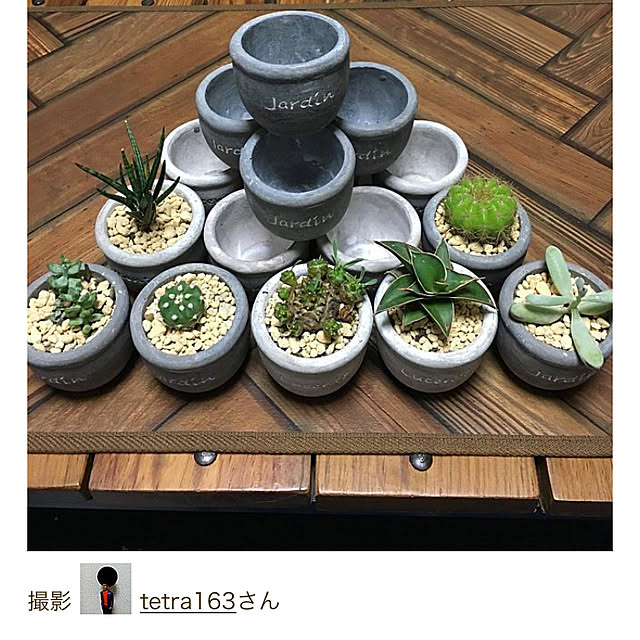 tetra163さんの実例写真