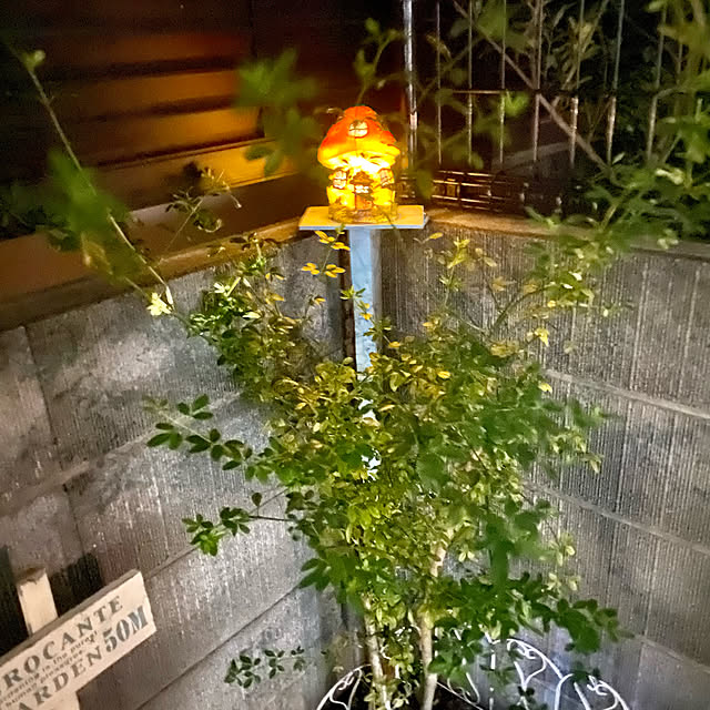 YuuKoさんの実例写真