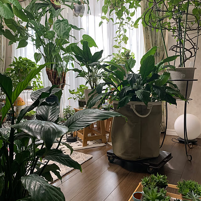 Aqettyさんの部屋