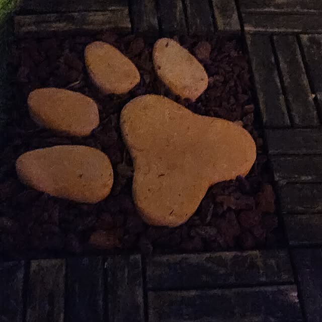 mikamaiさんの実例写真
