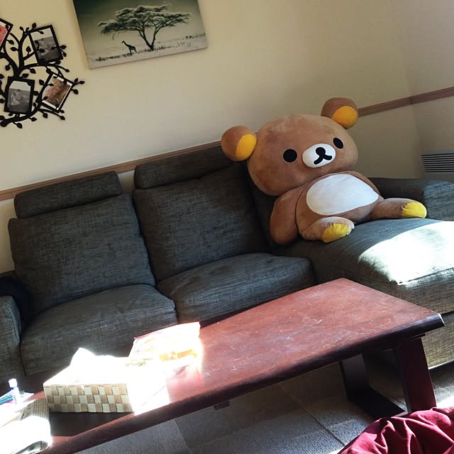 Ayuさんの実例写真