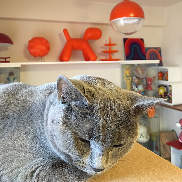 ikettenさんの実例写真