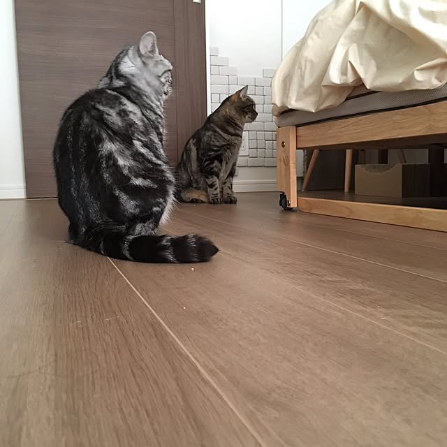 mikomaruさんの実例写真