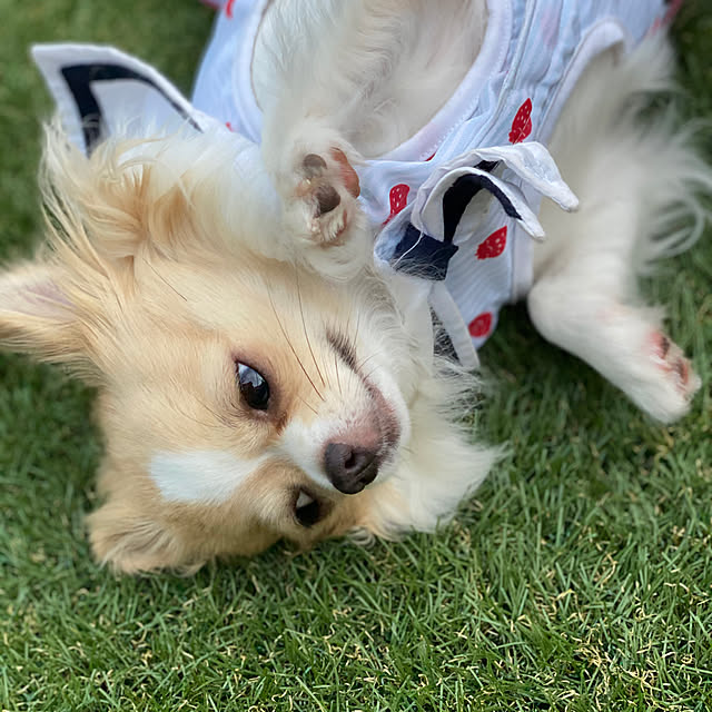 yoさんの実例写真