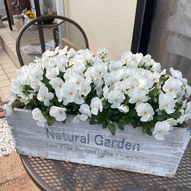 chikaさんの実例写真