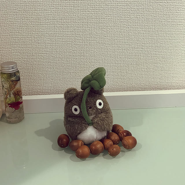 玄関/入り口のインテリア実例 - 2020-10-12 01:01:07