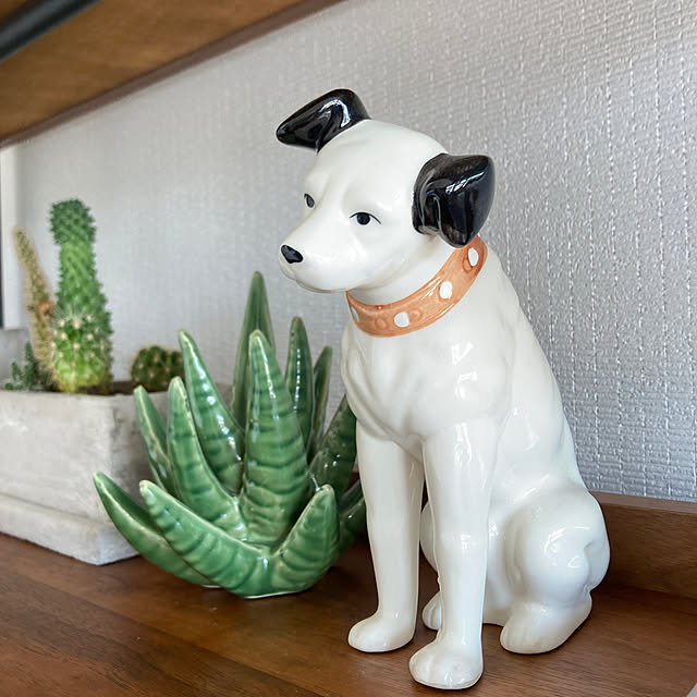 mochiyanさんの実例写真