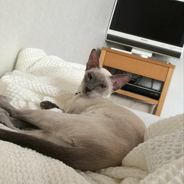 mujinekoさんの実例写真