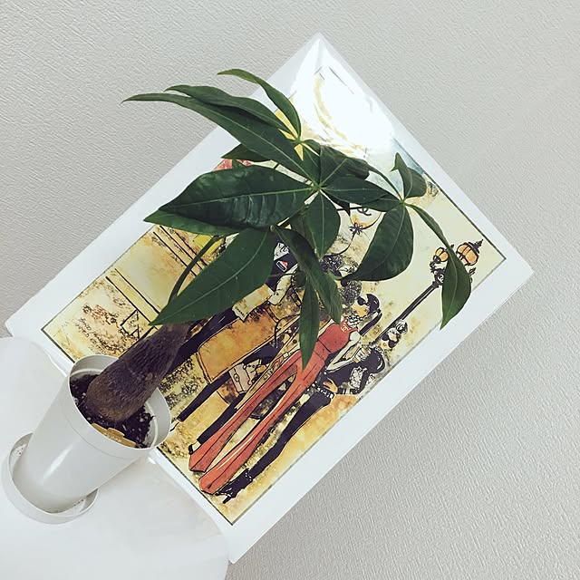Unさんの実例写真