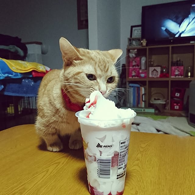 shinobuさんの実例写真