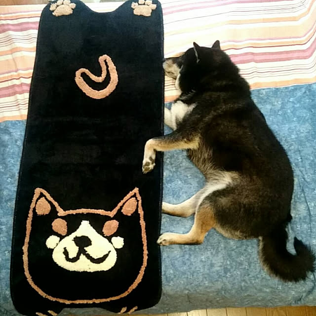 tsutawarimasuさんの実例写真