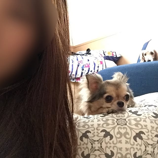 dthxiさんの実例写真