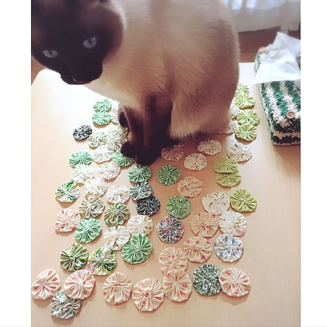 mintcatさんの実例写真