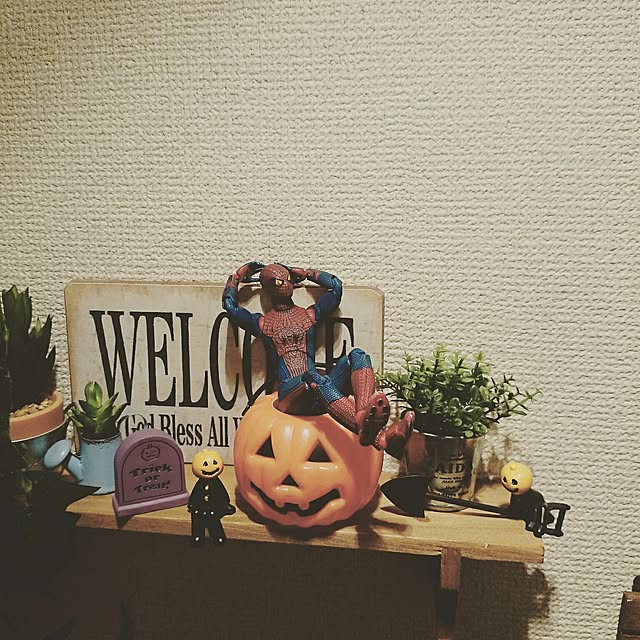 Saoriさんの実例写真
