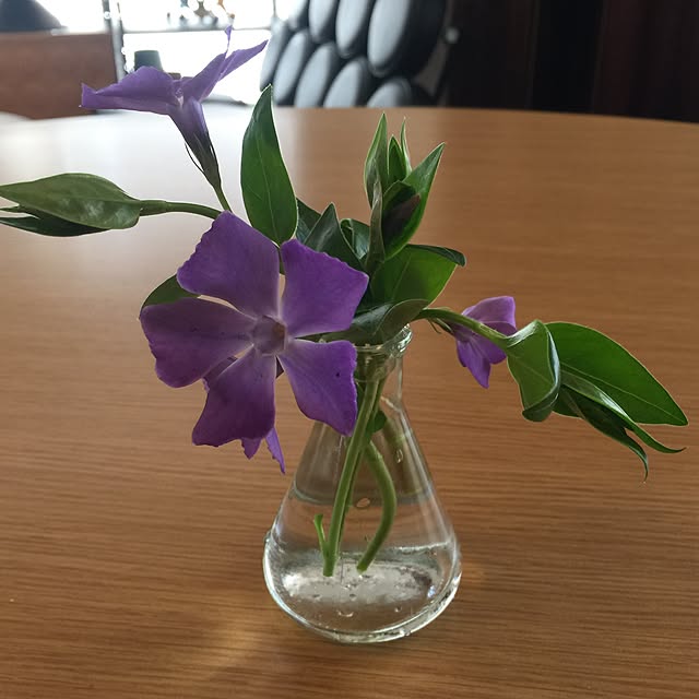 Hiroさんの実例写真
