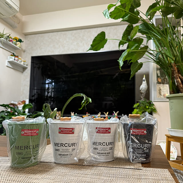 Aqettyさんの部屋