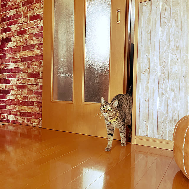 Mさんの実例写真