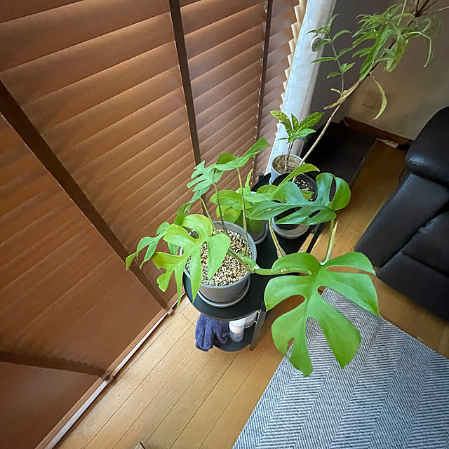 masa3さんの部屋