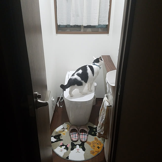 yuuさんの実例写真