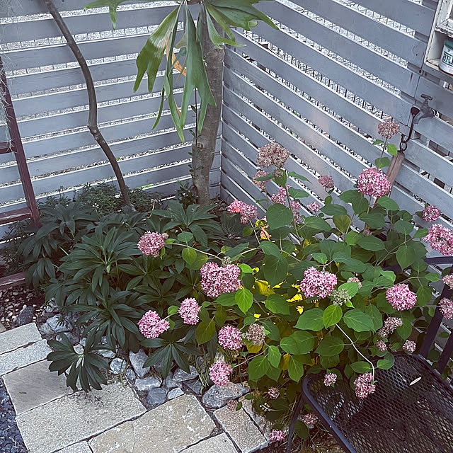akiさんの部屋