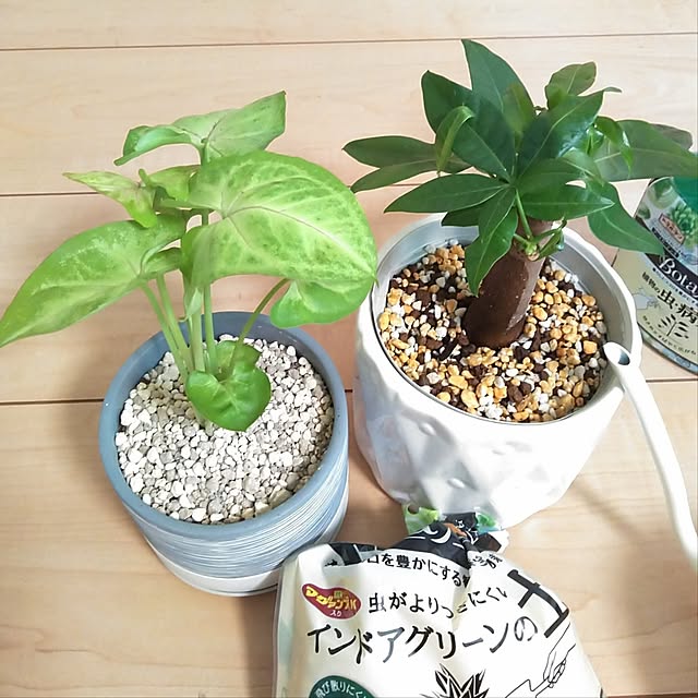 h.t.さんの部屋