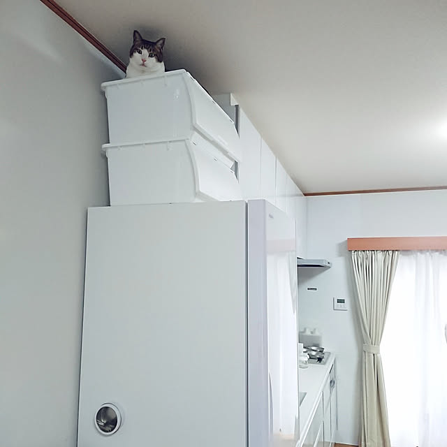 nachiさんの実例写真