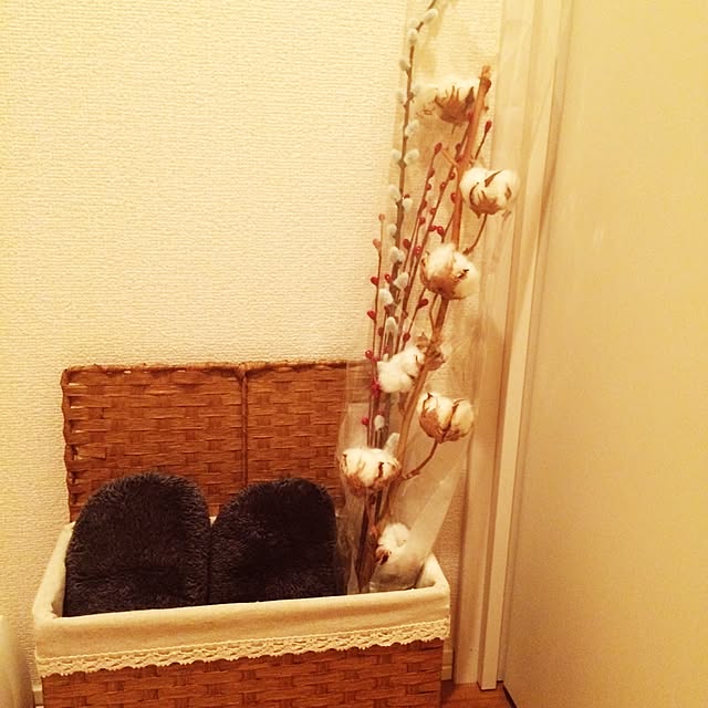 sally.Hさんの実例写真