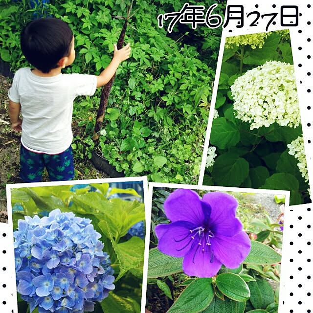 bousuke.215112さんの実例写真