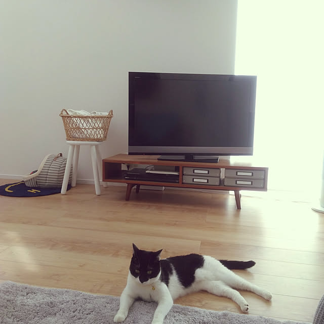Yさんの実例写真