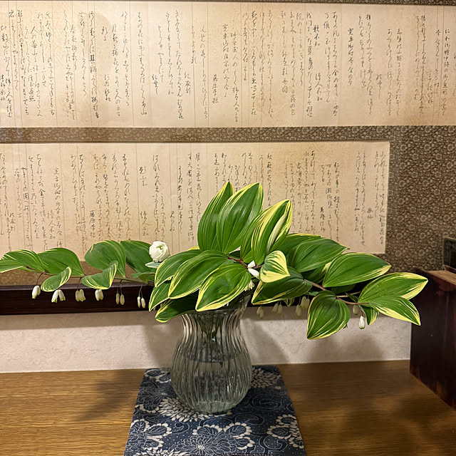 mamizaさんの部屋