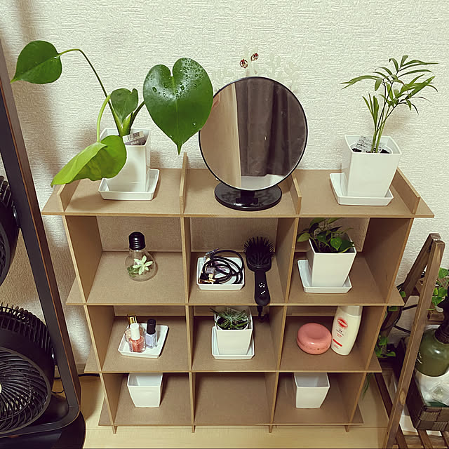 ダイソー/雑貨/観葉植物/棚のインテリア実例 - 2020-09-22 21:42:43