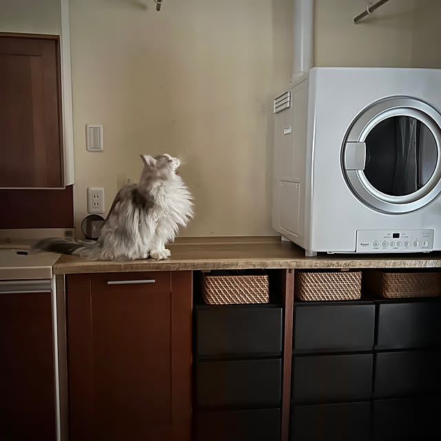 Kikko.さんの部屋