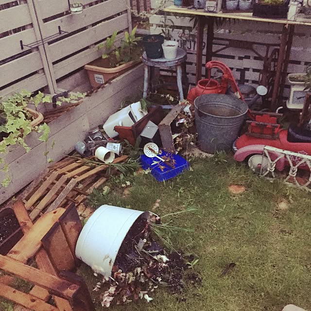 Toshikoさんの実例写真