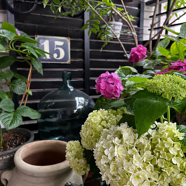 lienさんの部屋