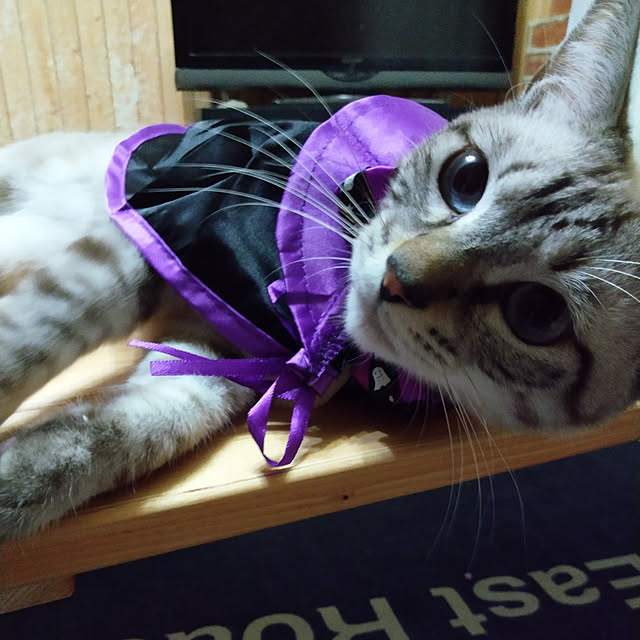 sakiさんの実例写真