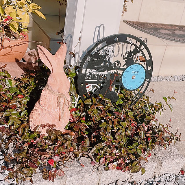 akiko-ovさんの部屋