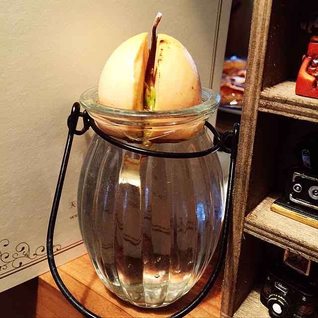 hyuirochanさんの実例写真