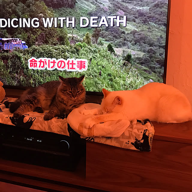 sakurasakuさんの実例写真