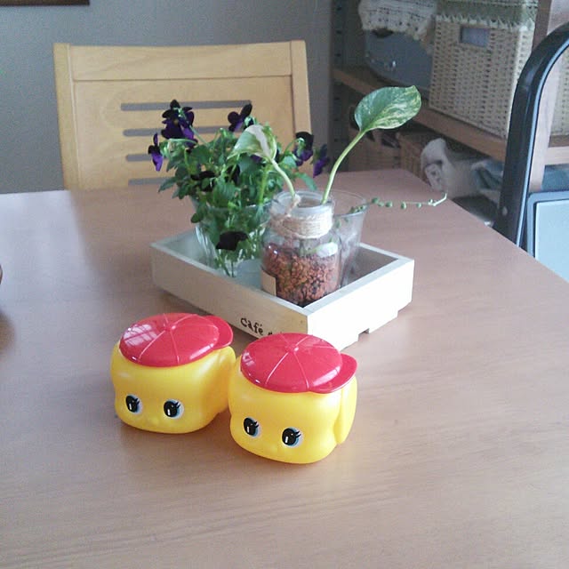 satokotokoさんの実例写真