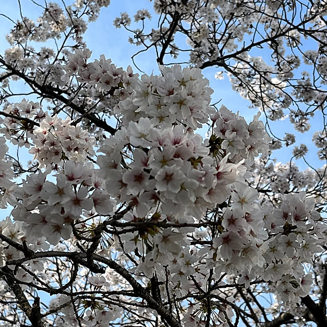 mkさんの部屋