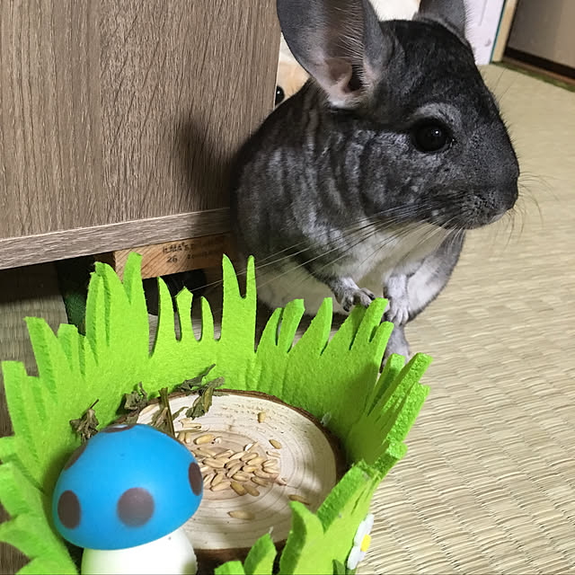 bambiさんの実例写真