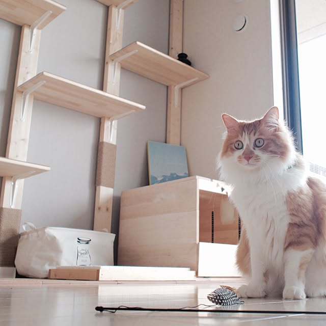 Reikoさんの実例写真