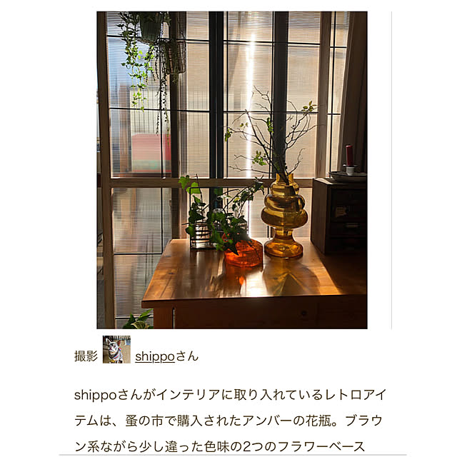 shippoさんの実例写真