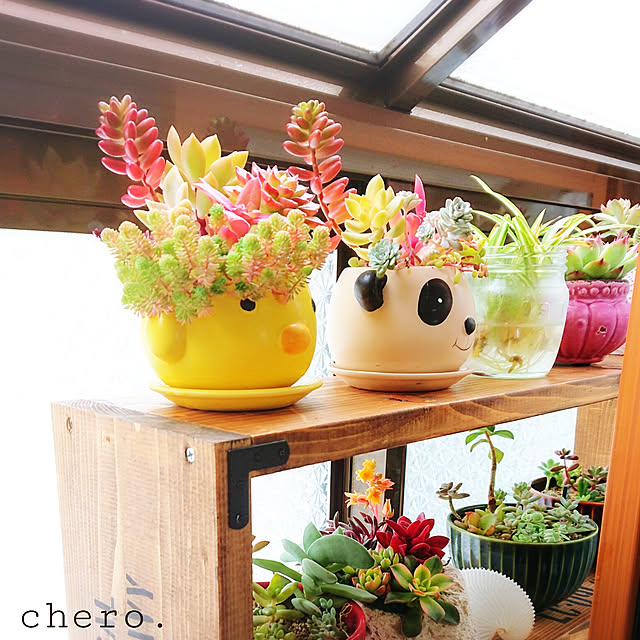 chero.さんの実例写真