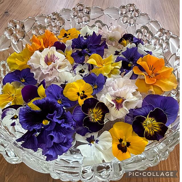 Smilkazuさんの部屋