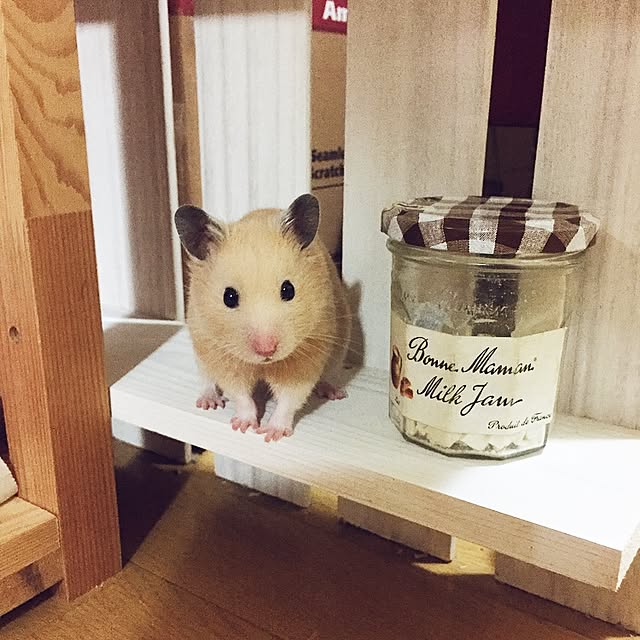 emiさんの実例写真