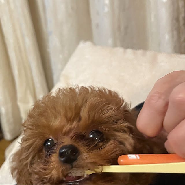 mamizaさんの実例写真